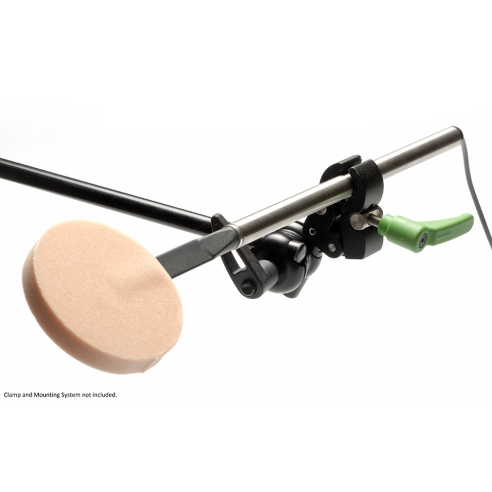 Leaf Switch